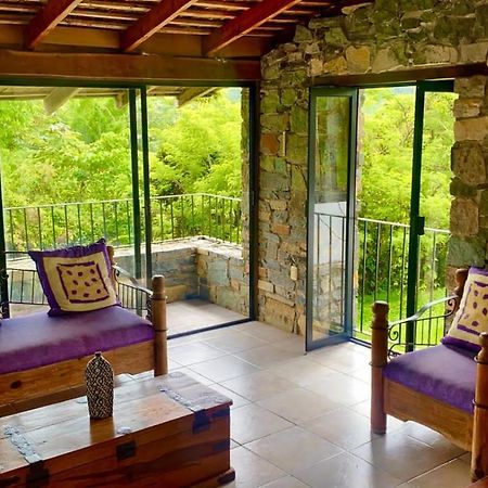 Casa Camino A Las Pozas 希利特拉 外观 照片