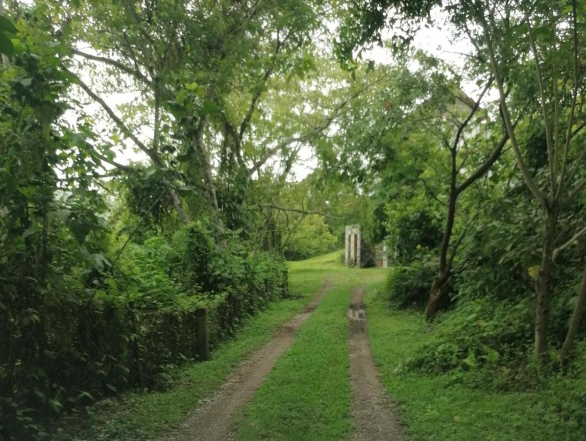 Casa Camino A Las Pozas 希利特拉 外观 照片